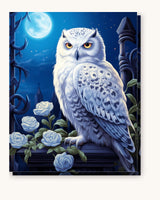 Polar Owl paint by numbers kit