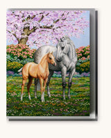 Spring Horses paint by numbers kit