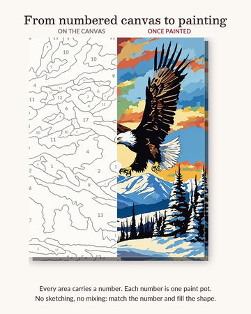 Bald Eagle over the Mountains numbered canvas next to the finished painting