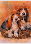 Basset Hound Dogs - Premium Paint by Numbers Kit