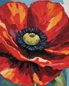 Big Red Poppy paint by numbers kit, close up of a single red poppy flower