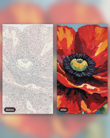 Big Red Poppy paint by numbers kit, before and after