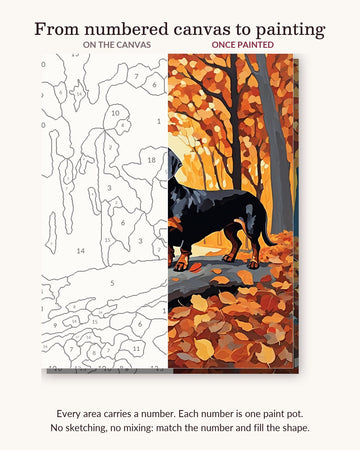 Black Dachshund on an Autumn Log numbered canvas next to the finished painting