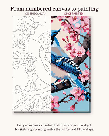 Blue Jay on a Cherry Branch numbered canvas next to the finished painting