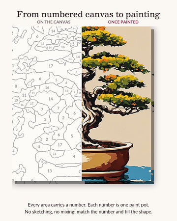 Bonsai Tree in a Clay Pot numbered canvas next to the finished painting