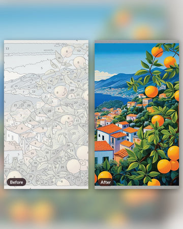 The Orange Coast paint by numbers kit, before and after