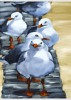 Flock Of Seagulls - Premium Paint by Numbers Kit