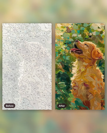 Golden Retriever paint by numbers kit, before and after