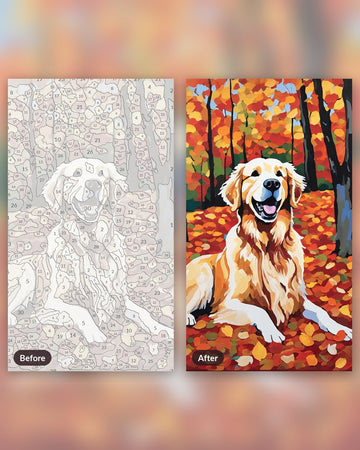 Golden Retriever in Autumn Leaves paint by numbers kit, before and after