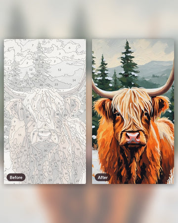 Highland Cow in the Winter Pines paint by numbers kit, before and after