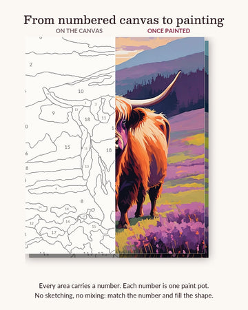 Highland Cow on the Misty Hillside numbered canvas next to the finished painting