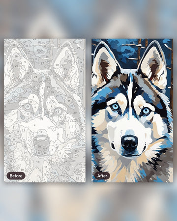 Husky in the Snowfall paint by numbers kit, before and after