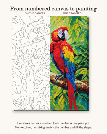 Macaws in the Rainforest numbered canvas next to the finished painting