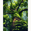 Climbing Forever Tree - Paint by Numbers