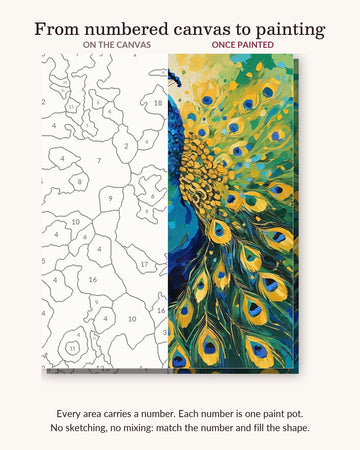Peacock with Open Feathers numbered canvas next to the finished painting