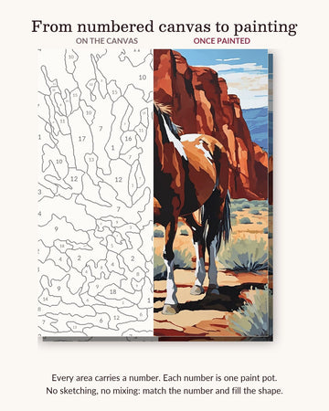 Pinto Horse in the Red Canyon numbered canvas next to the finished painting