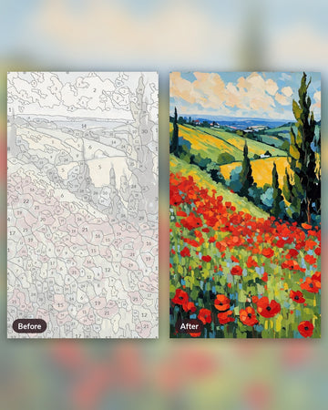 Poppy Field after Monet paint by numbers kit, before and after