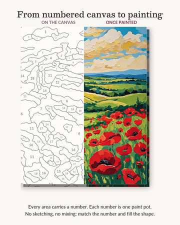 Red Poppy Field Under Golden Clouds numbered canvas next to the finished painting