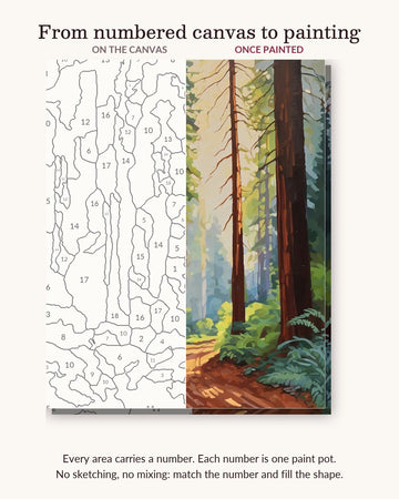Redwood Forest Path numbered canvas next to the finished painting