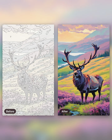 Stag in the Misty Highlands paint by numbers kit, before and after