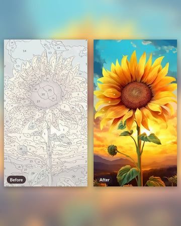 Sunflower paint by numbers kit, before and after