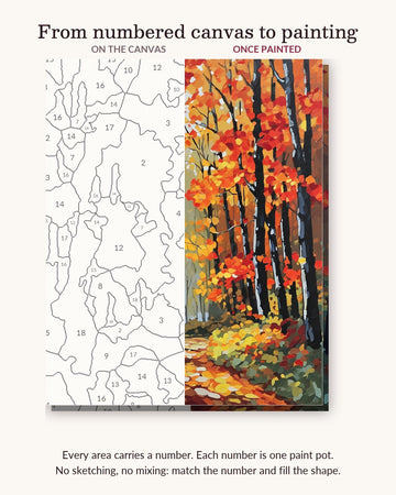 Sunlit Autumn Forest Path numbered canvas next to the finished painting