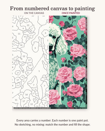 White Poodle with Pink Roses numbered canvas next to the finished painting