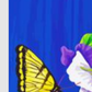 Butterflies And Pansies - Premium Paint by Numbers Kit