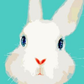 Painting By Numbers kit featuring a charming white rabbit with a turquoise background, ideal for beginner artists.