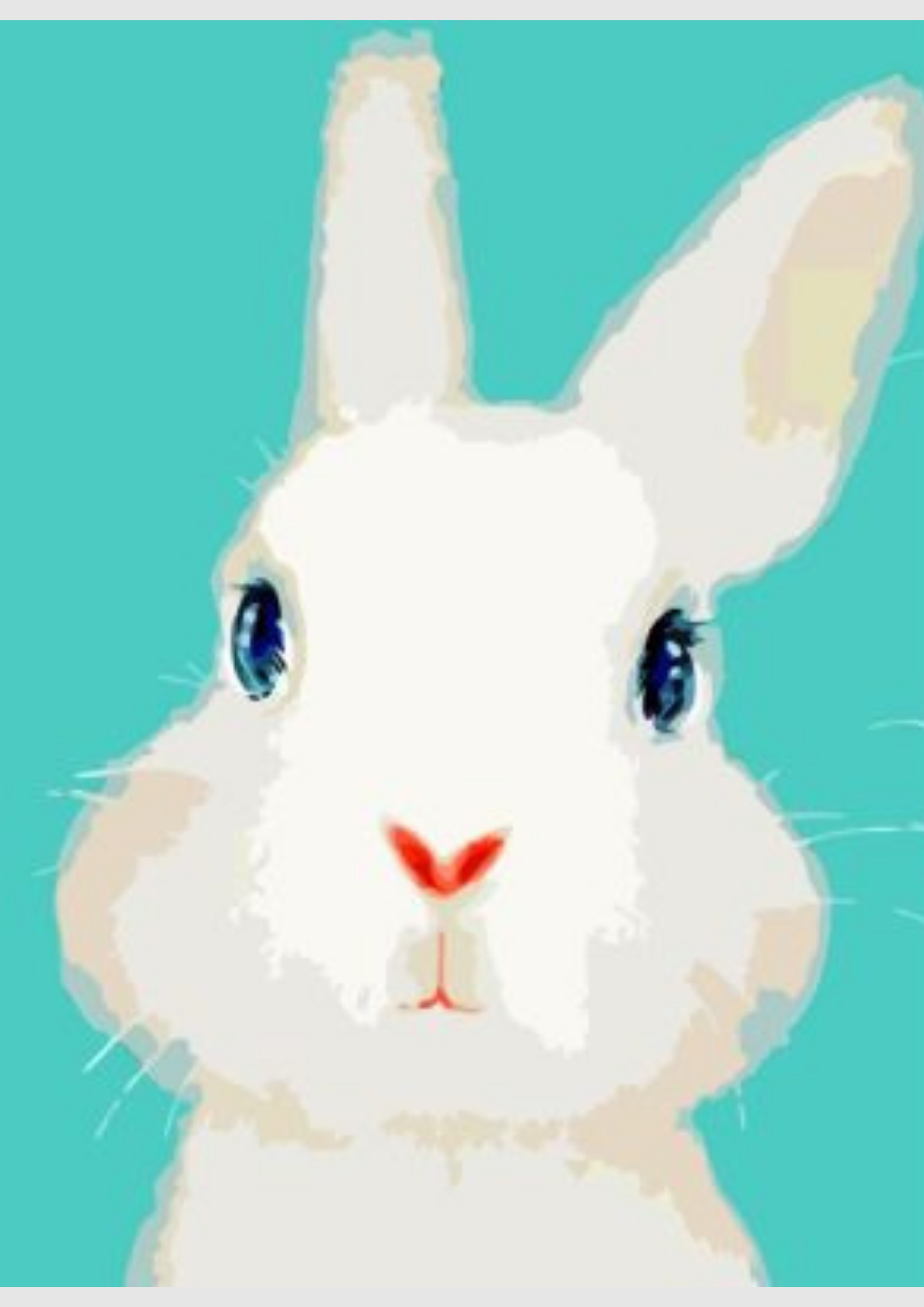 Painting By Numbers kit featuring a charming white rabbit with a turquoise background, ideal for beginner artists.