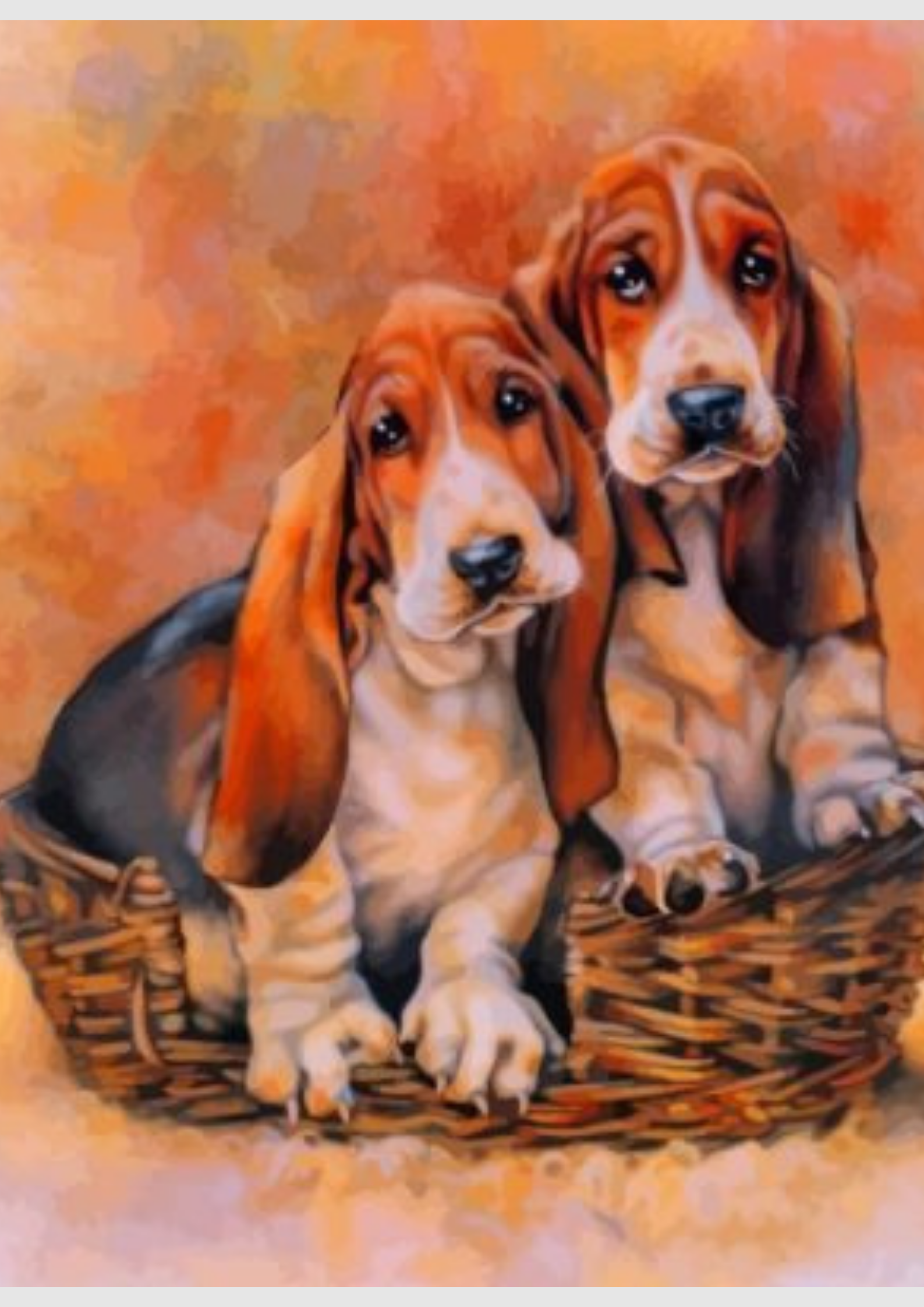 Two Basset Hound dogs in a basket with a warm autumn background, Painting By Numbers Kit.