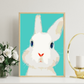 White Rabbit