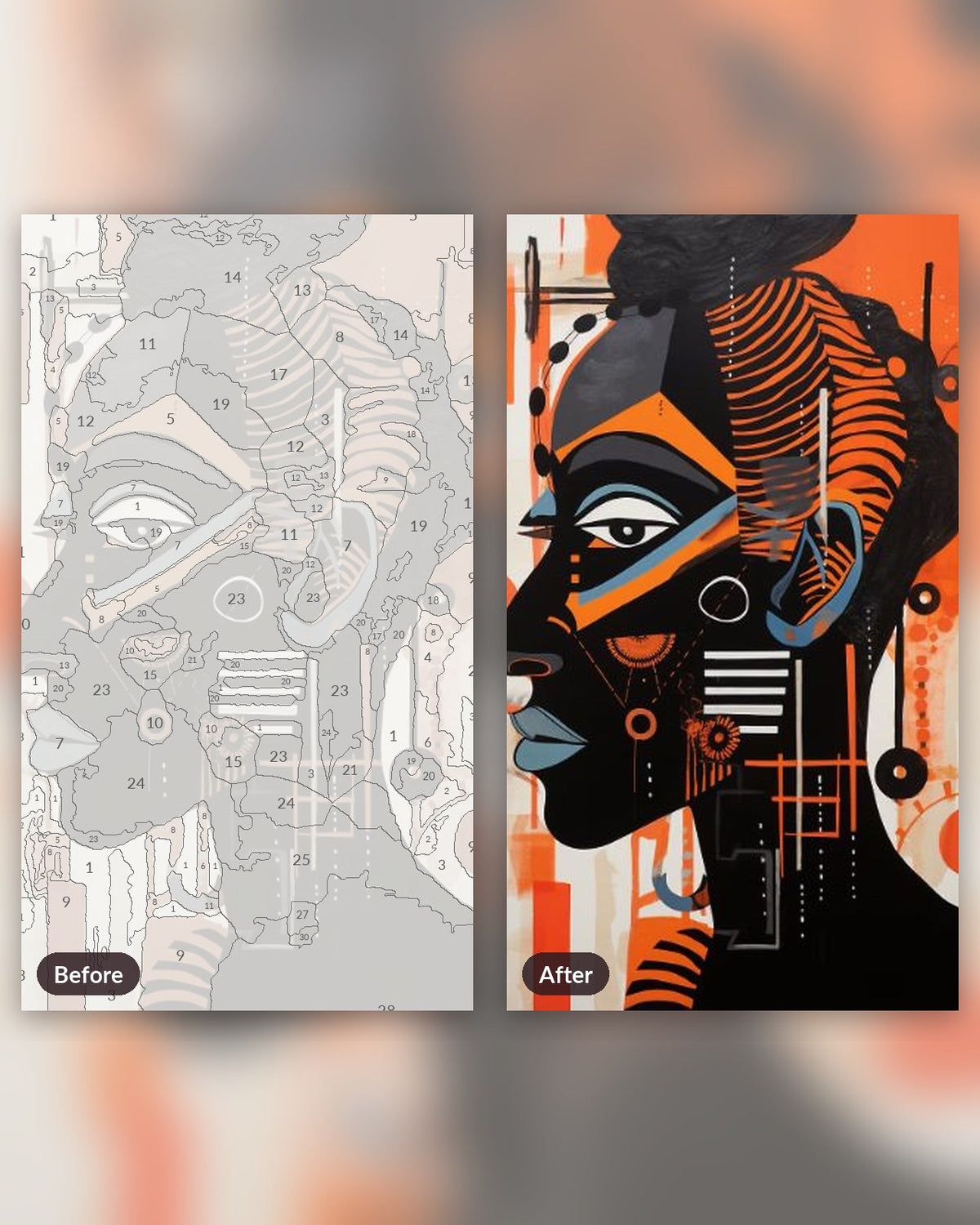 African Hermit paint by numbers kit, before and after