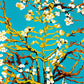 Almond Blossom after Van Gogh paint by numbers kit, white almond blossom branches against a turquoise sky in Van Gogh's style