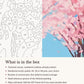 Close-up of the Anime Cherry Blossom School Path canvas texture and printed numbers