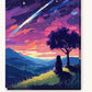 Anime Shooting Star Night paint by numbers kit on stretched canvas