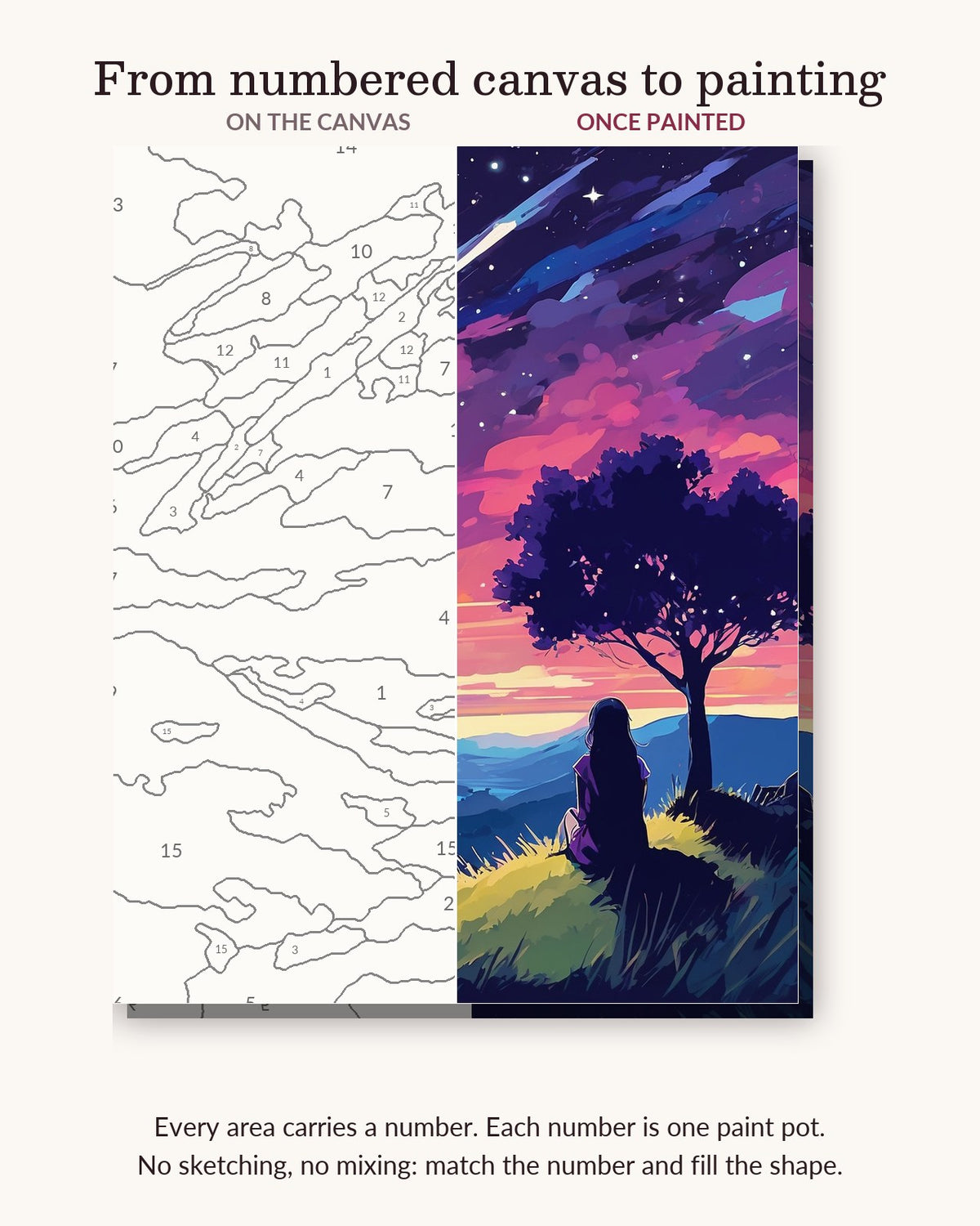 Anime Shooting Star Night numbered canvas next to the finished painting