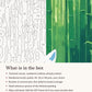 Close-up of the Anime White Fox in the Bamboo Forest canvas texture and printed numbers