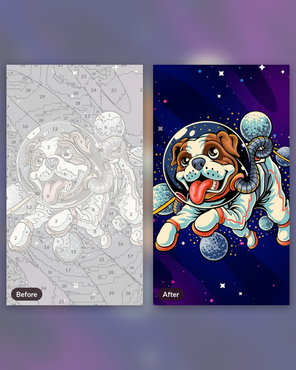 Astro Dog paint by numbers kit, before and after