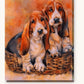 Basset Hound Dogs paint by numbers kit on stretched canvas
