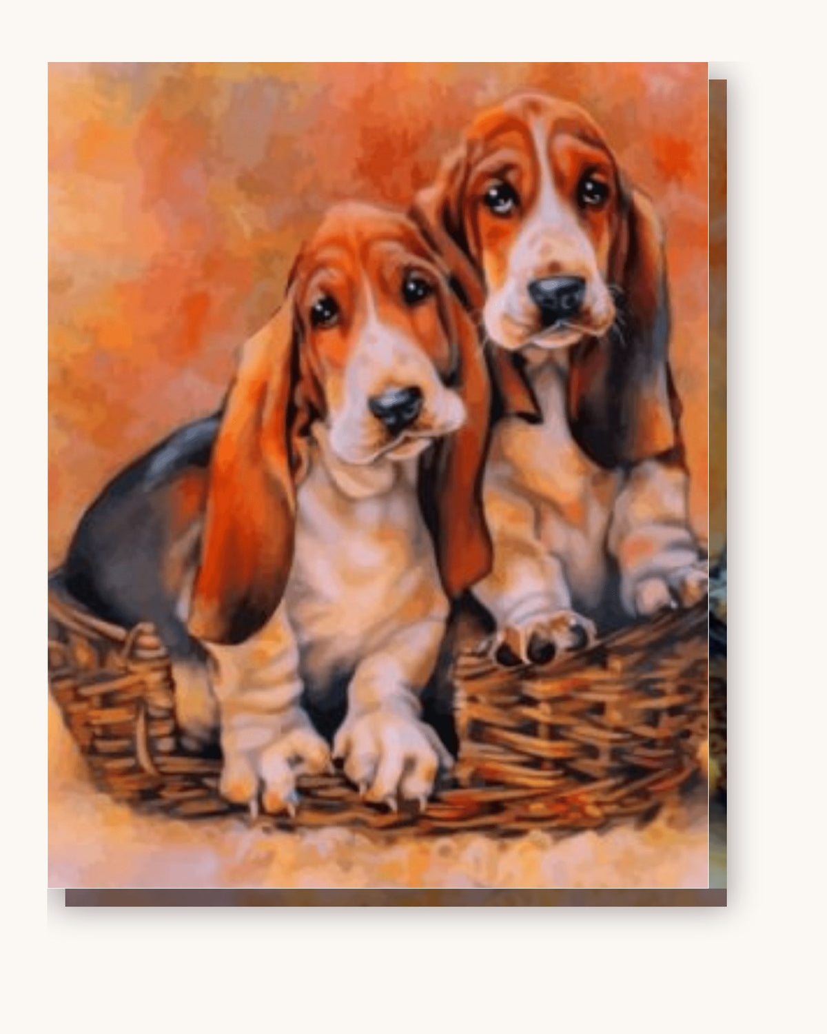 Basset Hound Dogs paint by numbers kit on stretched canvas