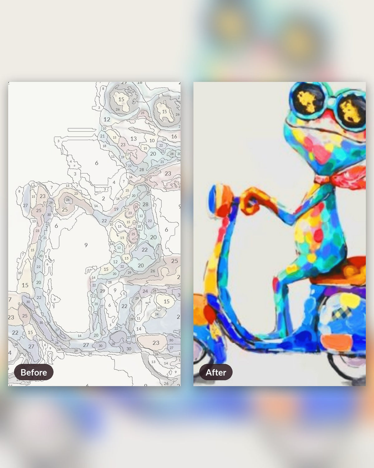 Beautiful Frog paint by numbers kit, before and after