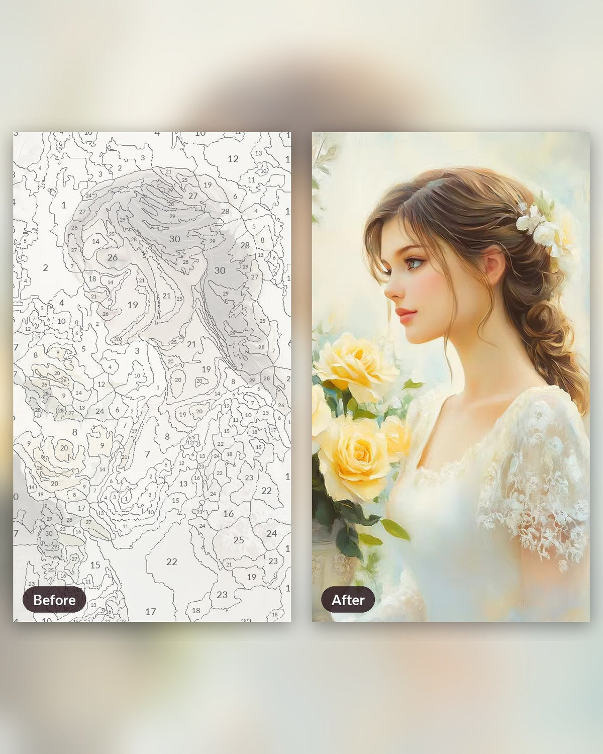 Beauty Queen paint by numbers kit, before and after