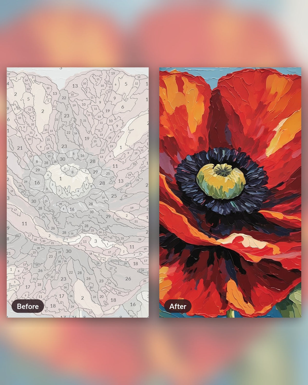 Big Red Poppy paint by numbers kit, before and after