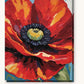 Big Red Poppy paint by numbers kit on stretched canvas