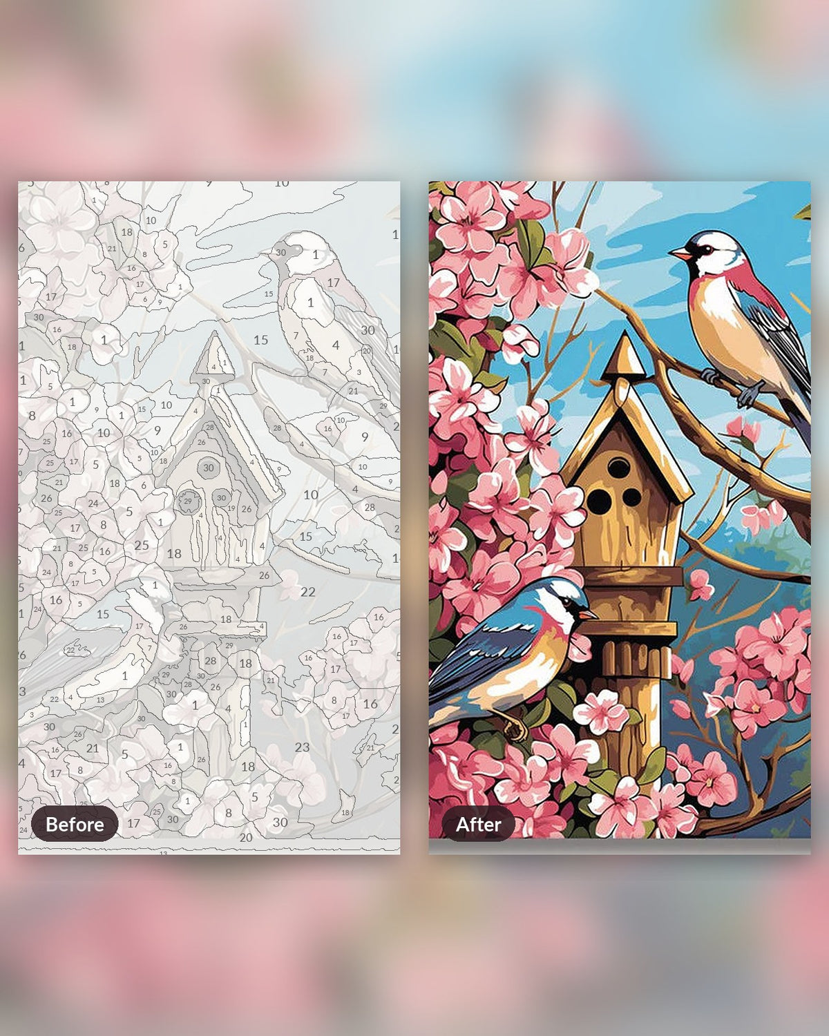 The Birdhouse paint by numbers kit, before and after