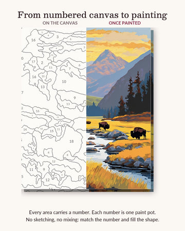 Bison in the Valley numbered canvas next to the finished painting