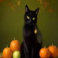 Black Cat Among Pumpkins paint by numbers kit