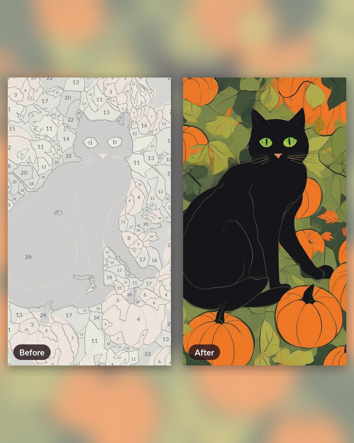 Black Cat Among Pumpkins paint by numbers kit, before and after