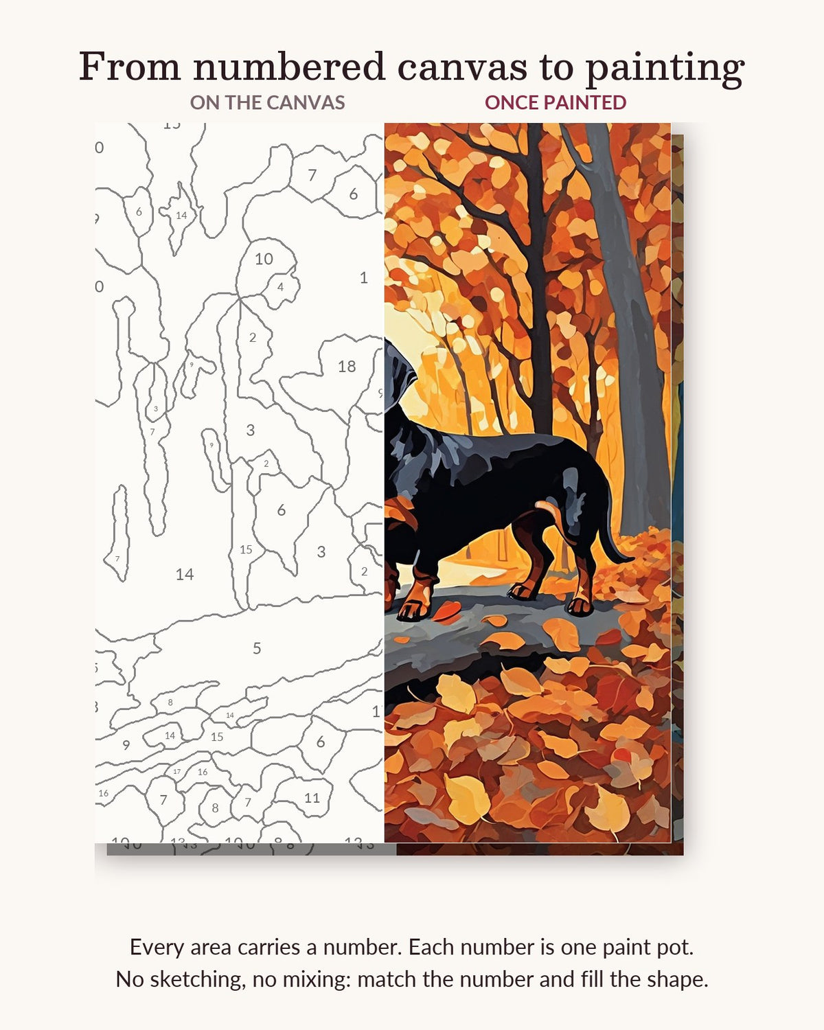 Black Dachshund on an Autumn Log numbered canvas next to the finished painting